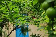 ویلای گیل آوا در رشت