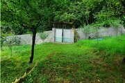 ویلا جنگلی تکخواب مبله در سوادکوه