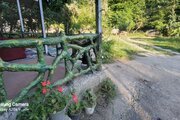 ویلا دربست دوخواب دلیلی در سیاهکل