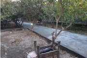 ویلا دو خواب استخردار سرپوشیده آبگرم در سرخرود