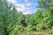 کلبه دوخواب صدای رود در ماسال