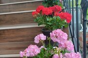 واحد تکخواب چهره در طبقه اول ویلای بابل