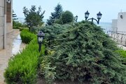 آپارتمان مبله دوخواب ساحلی ارغوان در نوشهر