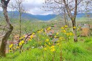 کلبه چوبی دو خواب دوبلکس در ماسال