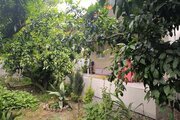 ویلا باغ تک خواب خانه ی سبز در قائمشهر