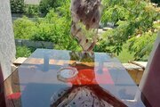 واحد در طبقه دوم مسیحا رضوانشهر