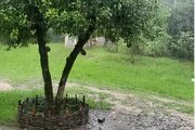 ویلا دو خواب استخردار شهاب در ماسال