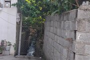 آپارتمان مبله دوخواب مهرشاد 2 در چالوس