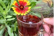کلبه ی چوبی جنگلی محیا در لاهیجان