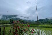 کلبه دوبلکس چوبی جنگلی تکخواب در تالش