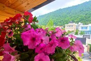 کلبه دوبلکس جنگلی تکخواب نیک در چالوس