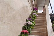 واحد سه خواب در طبقه اول ویلا تالش