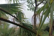 سوئیت مبله ساحلی در کتالم و سادات شهر