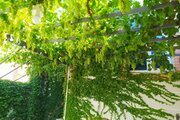 آپارتمان مبله سه خواب پاکباز در سی سخت