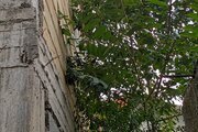 واحد دو خواب در طبقه دوم ویلای رحیم آباد