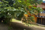 ویلای دوبلکس دو خواب خانه چوبی در سیاهکل