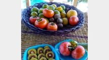 سوییت در ویلا باغ ژرفای خیال