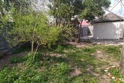سوئیت نقلی همیشه بهار در رشت