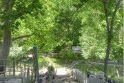 آپارتمان مبله تکخواب 2 در سوادکوه