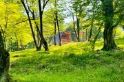 کلبه سوئدی دوبلکس تکخواب نیما در شیرگاه