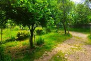 ویلا مبله تکخواب آواز پرنده در طاسکوه ماسال