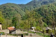 واحد جنگلی تکخواب در طبقه دوم ویلای ماسوله