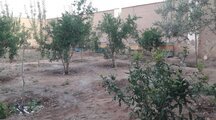 خانه باغ نوساز در کاشان