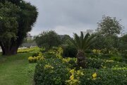 کلبه سوئیسی دوبلکس الی در هچیرود