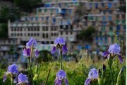 ویلا دو خواب در سرو آباد
