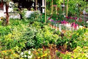 ویلا چهار خواب ساحلی در بوشهر 1