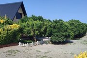 کلبه سوئیسی دوبلکس دوخواب باغ شوکا 2 در سرخرود