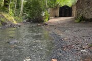 آپارتمان مبله تکخواب جنگلی السای در طرقبه و شاندیز