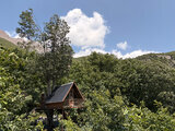 کلبه درختی مبله در سوادکوه