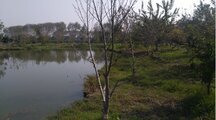 ویلا باغ دریاچه دو خواب در آمل