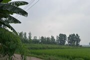 کلبه سوئیسی جکوزی دار دوخواب در سوادکوه | ویوی بیرون درب کلبه