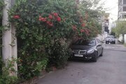 اجاره ویلای استخردار ساحلی نسترن در ایزدشهر