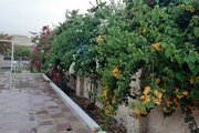 باغ ویلا دوخواب شاتوت در دزفول