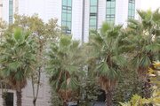 آپارتمان تکخواب مبله در رشت