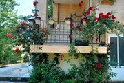 ویلا دو خواب مبله گلسار در آستارا