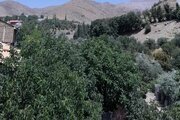 سوئیت مبله در آبعلی