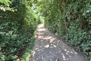 آپارتمان مبله تک خواب آرش در کوچصفهان