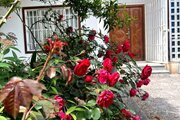 خانه ویلایی دو خواب مبله در متل قو