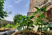 آپارتمان مبله تک خواب سزار همکف در دورود