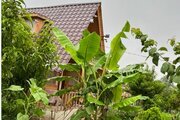 کلبه چوبی دوبلکس در گرگان