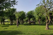 ویلای مبله تکخواب الماس در کلاله