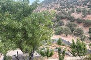 ویلا دوبلکس مبله دوخواب در یاسوج