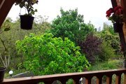 کلبه سوئیسی دوبلکس تکخواب در سوادکوه