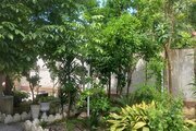 سوئیت ویلا دوبلکس استخردار ایلیاران در خمام