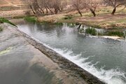 ویلا باغ مبله سه  خواب در لردگان