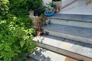 ویلا مانیا یک خواب در ساری